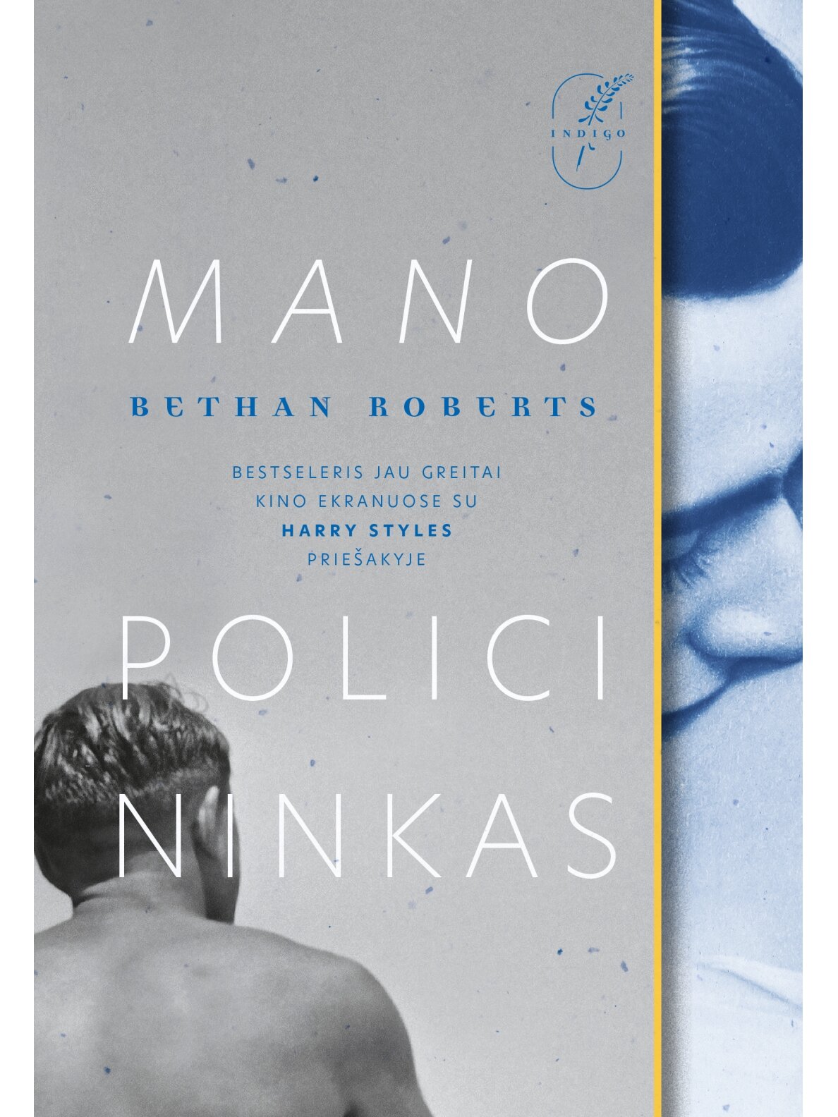 Bethan Roberts. Mano policininkas (Knyga su defektais)