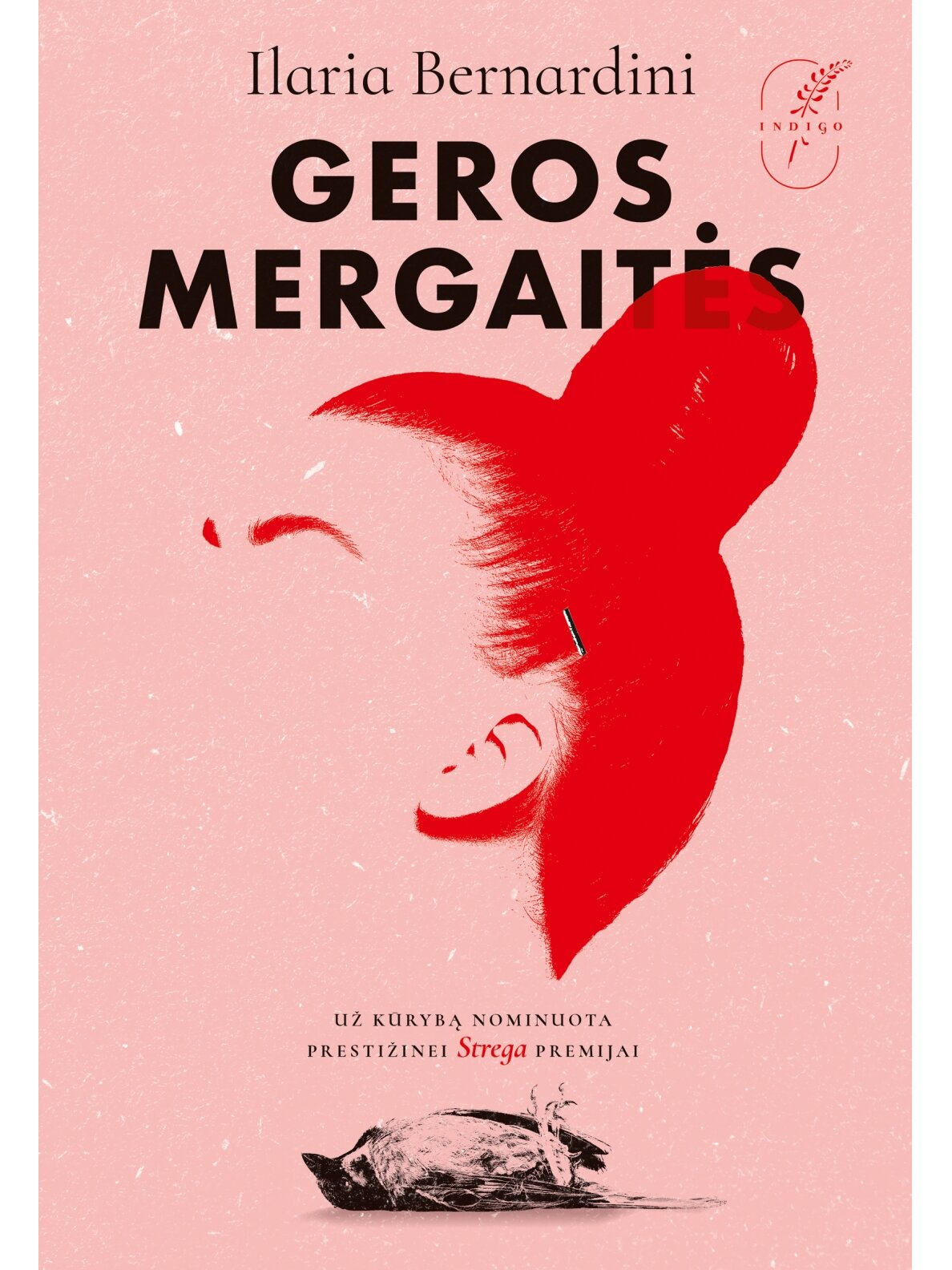 Ilaria Bernardini. Geros mergaitės (Knyga su defektais)