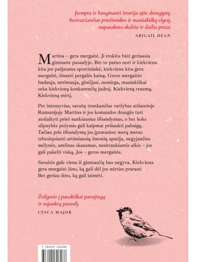 Ilaria Bernardini. Geros mergaitės (Knyga su defektais) 1 Ilaria Bernardini. Geros mergaitės (Knyga su defektais) 1