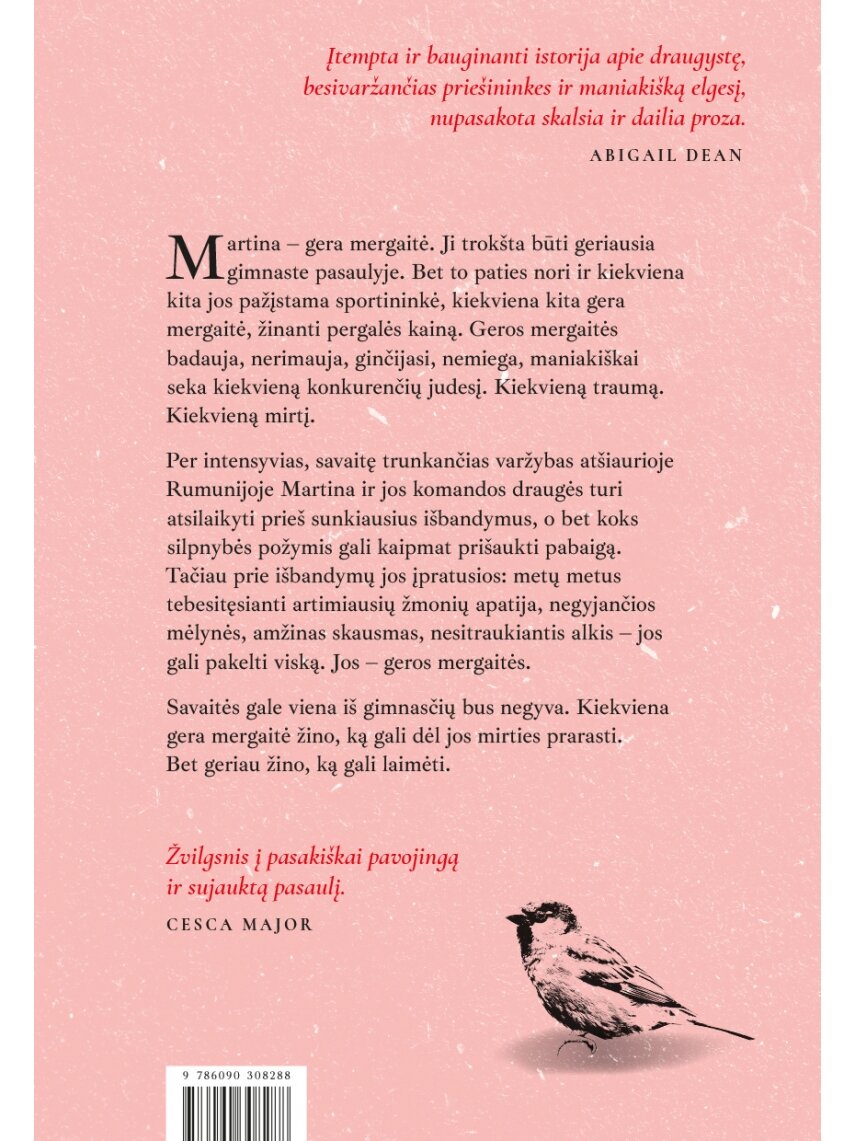 Ilaria Bernardini. Geros mergaitės (Knyga su defektais) 1 Ilaria Bernardini. Geros mergaitės (Knyga su defektais) 1