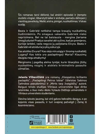 Jolanta Vilkevičiūtė. Žmogžudystė pagal fengšui (Knyga su defektais) 1