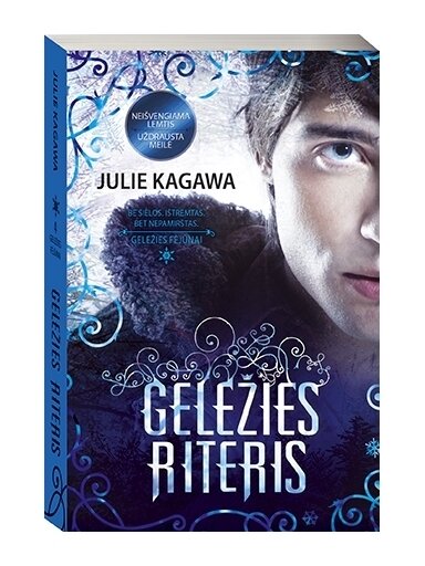 Julie Kagawa. Geležies riteris (4 knyga)