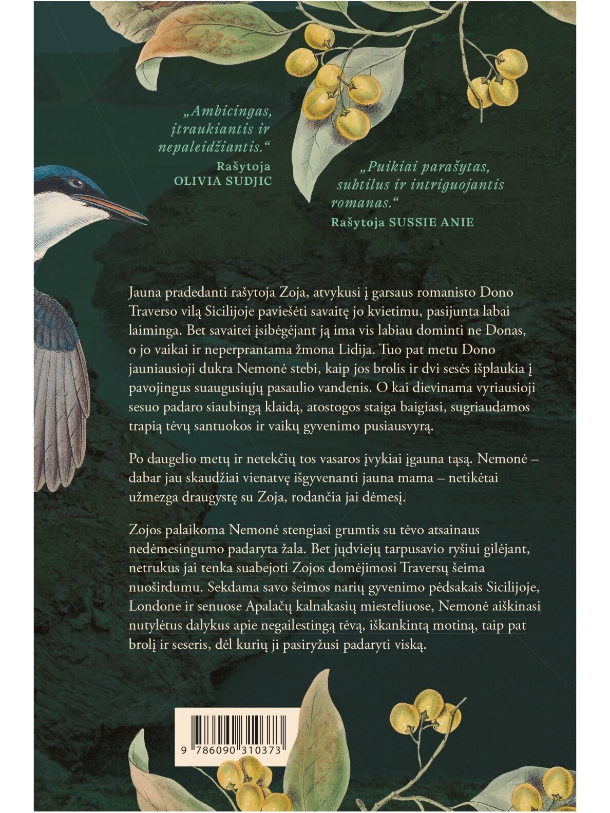 Marina Kemp. Už paslapčių sienos (Knyga su defektais) 1