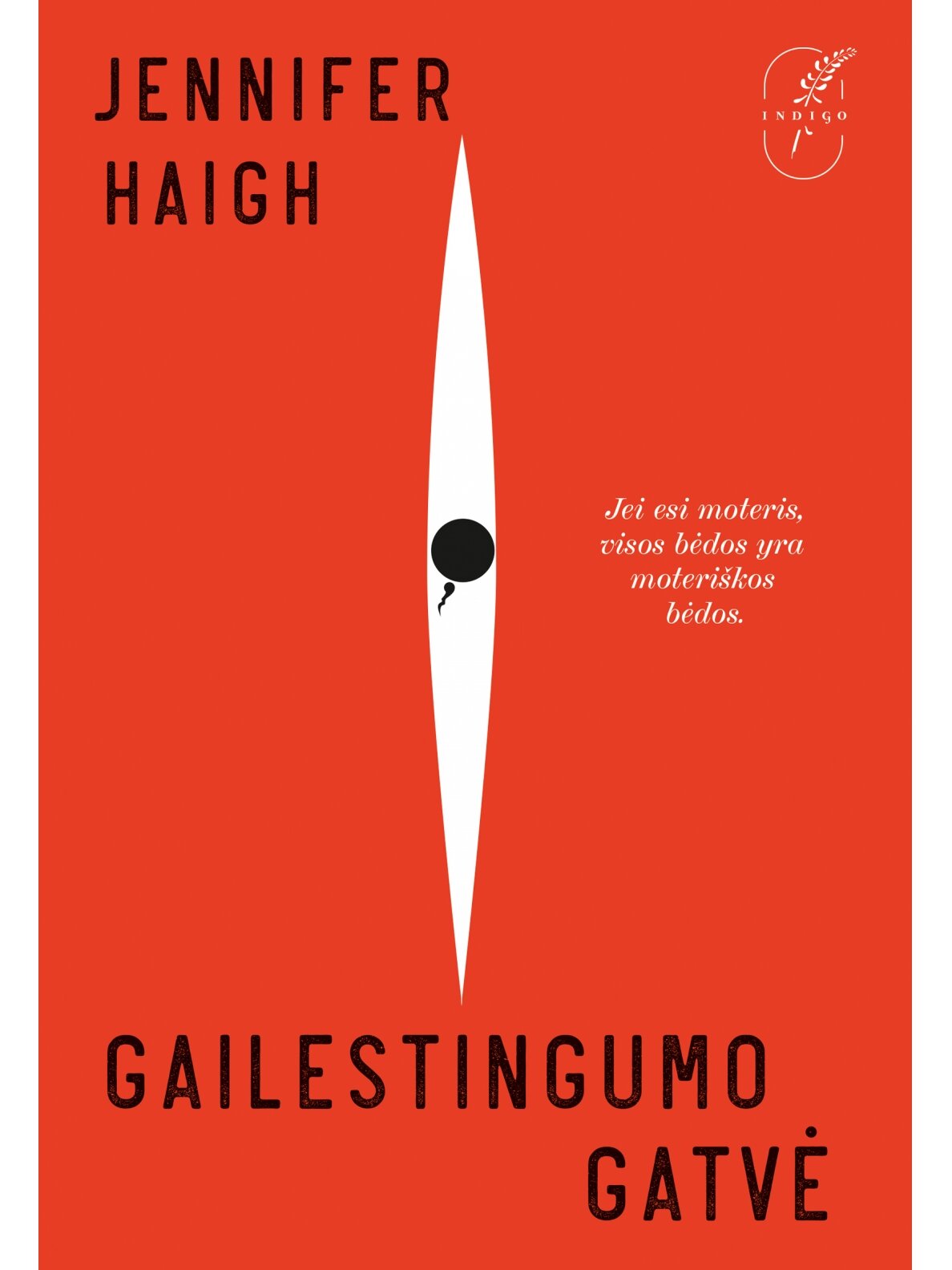 Jennifer Haigh. Gailestingumo gatvė Jennifer Haigh. Gailestingumo gatvė