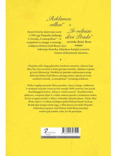 Renée Rosen. Vasara Parko aveniu (Knyga su defektais) 1