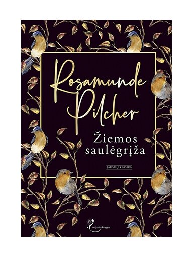 Rosamunde Pilcher. Žiemos saulėgrįža (Knyga su defektais)