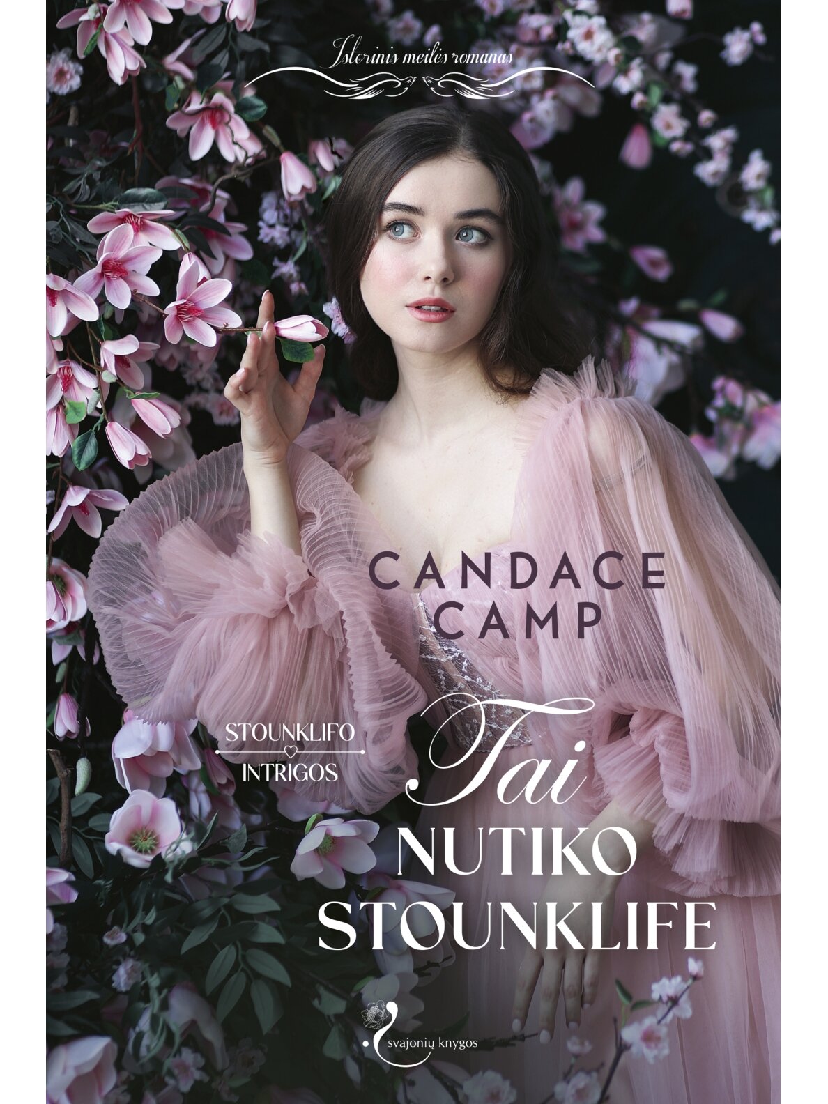 Candace Camp. Tai nutiko Stounklife (Pirma knyga) (Knyga su defektais)